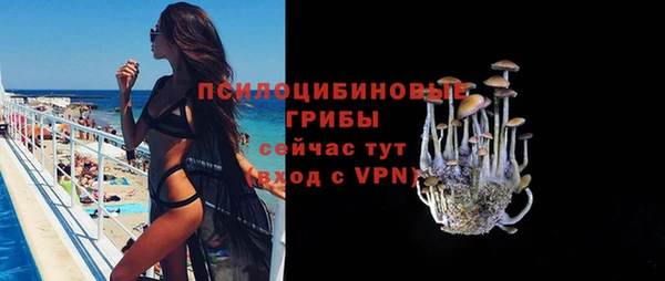 индика Алексеевка