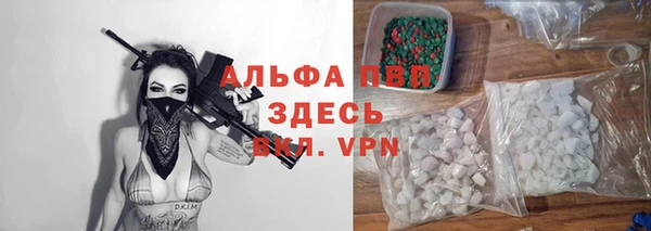 spice Алзамай