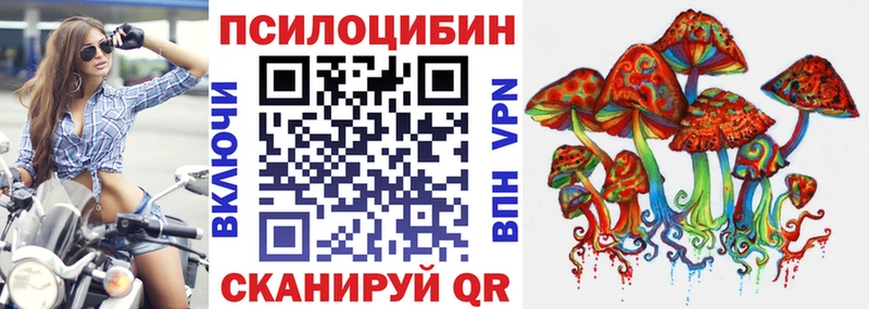 OMG ссылка  Лагань  darknet наркотические препараты  купить   Галлюциногенные грибы MAGIC MUSHROOMS 