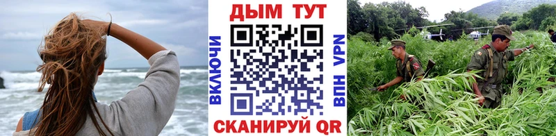 Бошки марихуана планчик  hydra маркетплейс  Лагань  купить наркотики сайты 